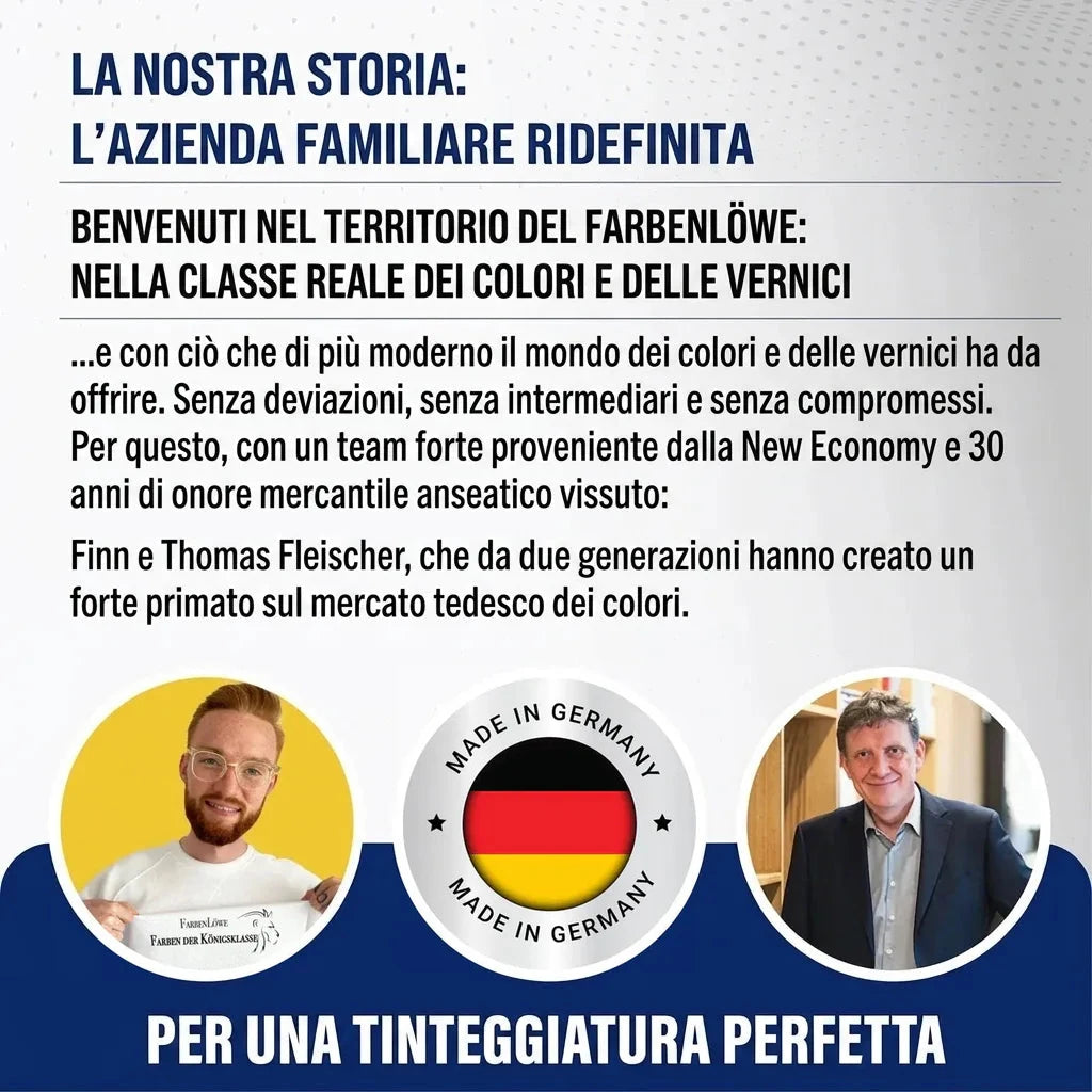 Farbenlöwe: azienda familiare tedesca di vernici. Qualità superiore Made in Germany. Ritratto di Finn e Thomas Fleischer.